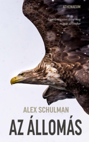Kniha Az állomás Alex Schulman