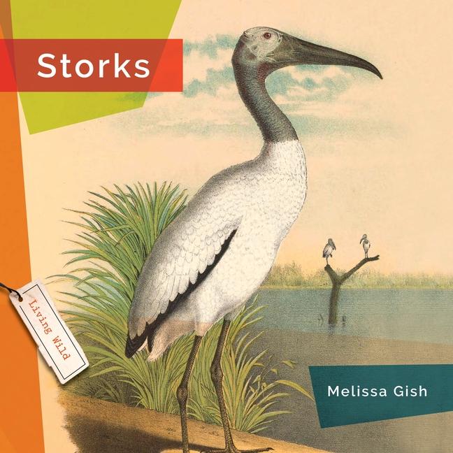 Книга Storks Gish