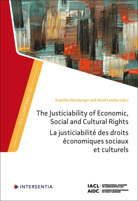 Kniha The Justiciability of Economic, Social and Cultural Rights David Landau