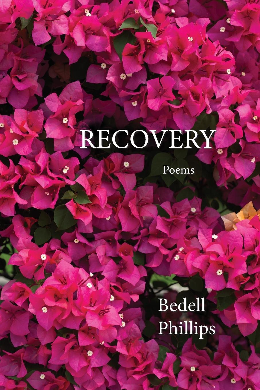 Książka Recovery Bedell Phillips