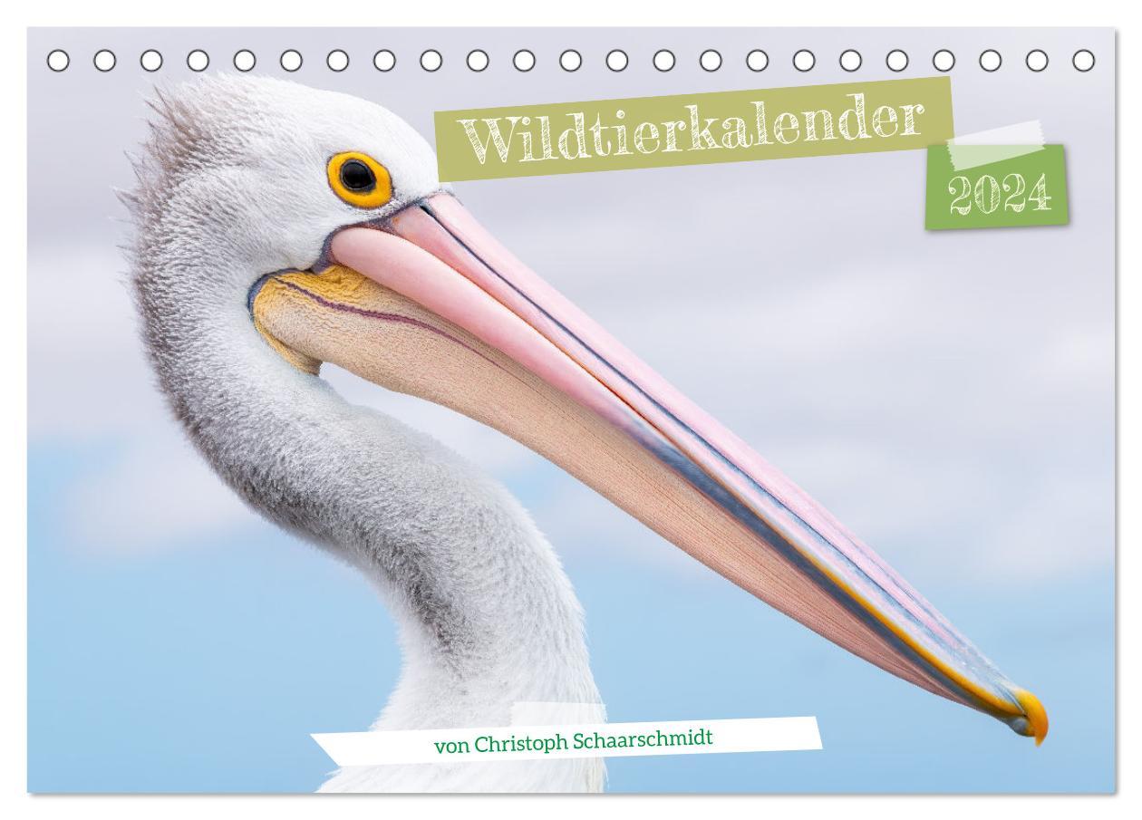 Calendario/Agenda Wildtierkalender (Tischkalender 2024 DIN A5 quer), CALVENDO Monatskalender 