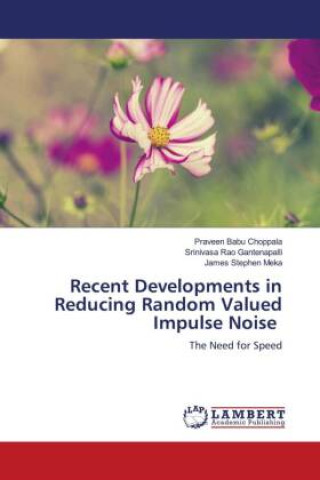 Knjiga Recent Developments in Reducing Random Valued Impulse Noise Srinivasa Rao Gantenapalli