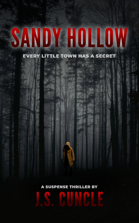 Knjiga Sandy Hollow J.S. Cuncle