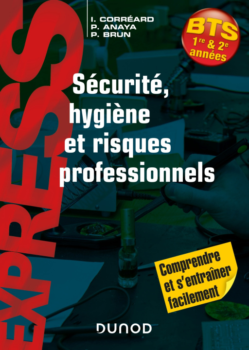 Knjiga Sécurité, hygiène et risques professionnels Isabelle Corréard