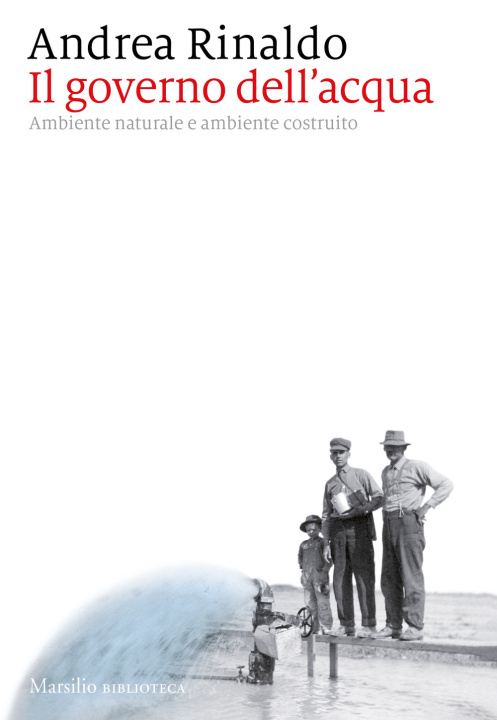 Книга governo dell'acqua. Ambiente naturale e ambiente ricostruito Andrea Rinaldo
