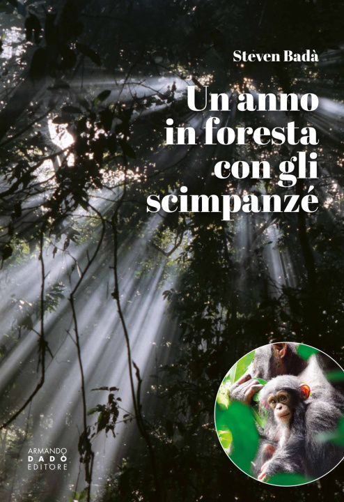 Carte anno in foresta con gli scimpanzé Steven Badà