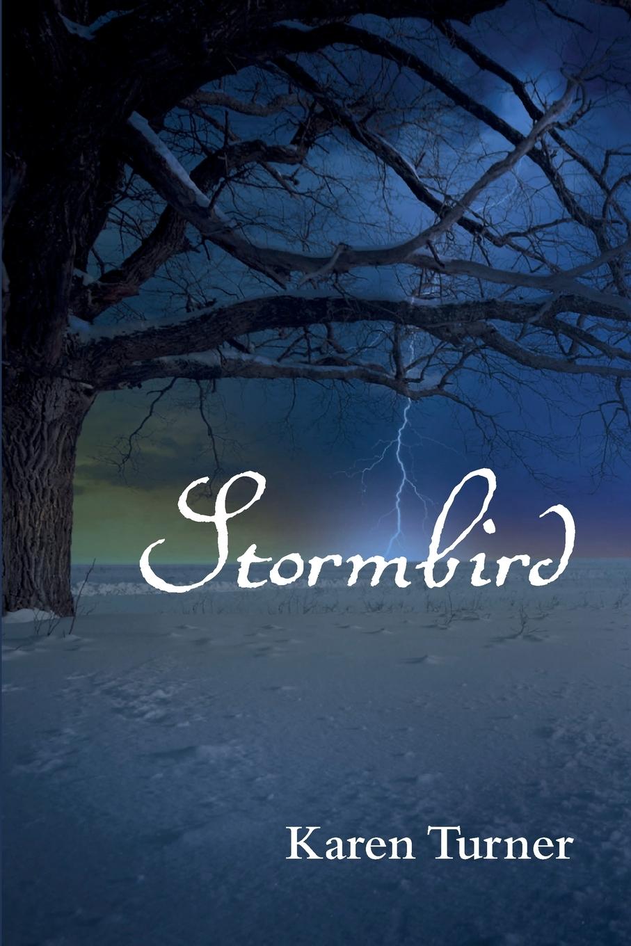 Knjiga Stormbird Karen Turner