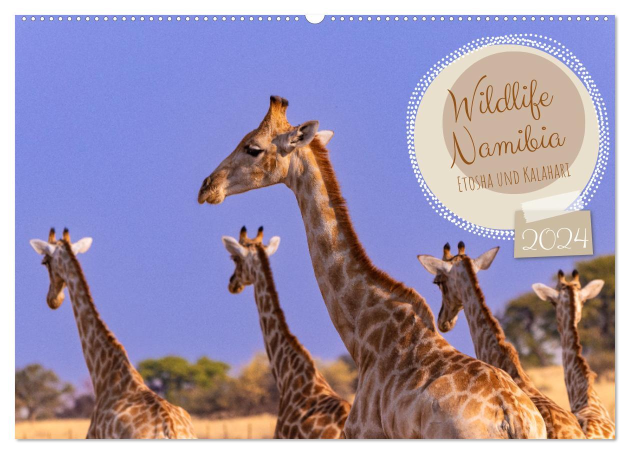 Calendar / Agendă Wildlife Namibia - Etosha und Kalahari (Wandkalender 2024 DIN A2 quer), CALVENDO Monatskalender 