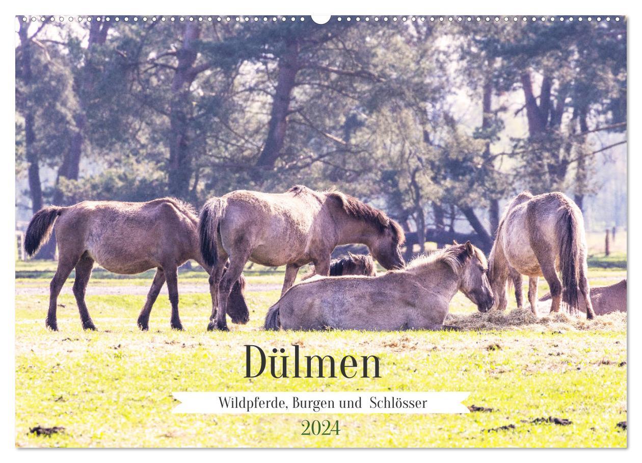 Календар/тефтер Dülmen - Wildpferde, Burgen und Schlösser (Wandkalender 2024 DIN A2 quer), CALVENDO Monatskalender 