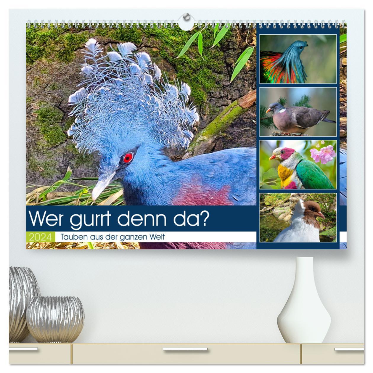 Calendar / Agendă Wer gurrt denn da? (hochwertiger Premium Wandkalender 2024 DIN A2 quer), Kunstdruck in Hochglanz 