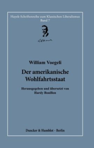 Kniha Der amerikanische Wohlfahrtsstaat. Hardy Bouillon
