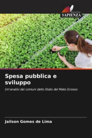 Knjiga Spesa pubblica e sviluppo Jailson Gomes de Lima
