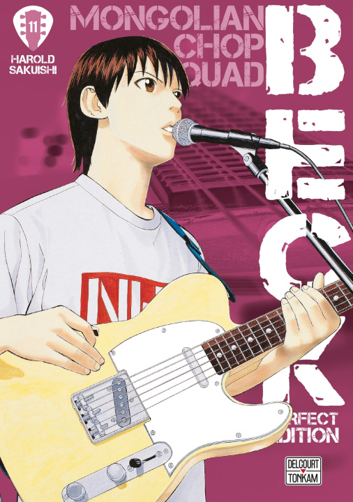 Buch Beck Perfect Edition T11 Harold Sakuishi