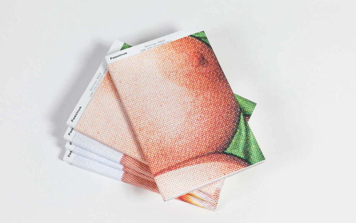 Boek Fascinus Ombline LEY
