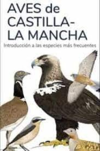 Kniha AVES DE CASTILLA LA MANCHA - GUIAS DESPLEGABLES TUNDRA HERNANDEZ