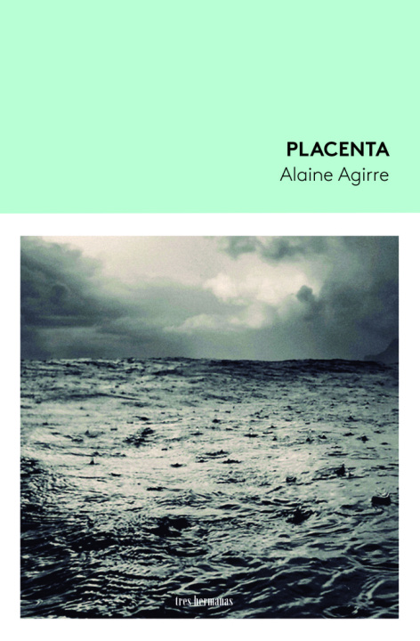 Книга Placenta AGIRRE