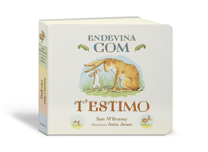 Book ENDEVINA COM TESTIMO MCBRATNEY