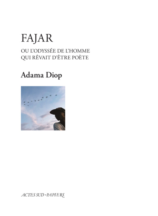 Book Fajar ou l'odyssée de l'homme qui rêvait d'être poète Diop