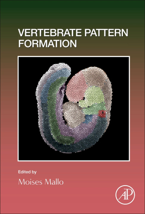 Knjiga Vertebrate Pattern Formation Moises Mallo