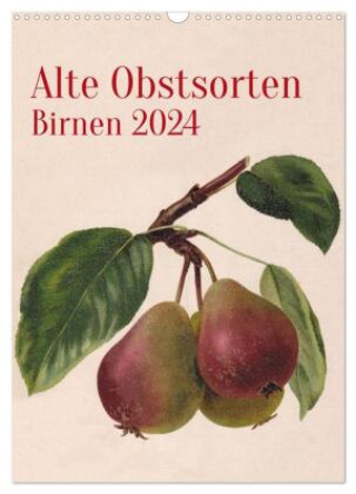Kalendář/Diář Alte Obstsorten - Birnen 2024 (Wandkalender 2024 DIN A3 hoch), CALVENDO Monatskalender Neue Gablenzer Werkstätten und Verlag