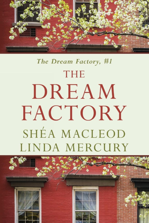 Boek The Dream Factory Shea Macleod