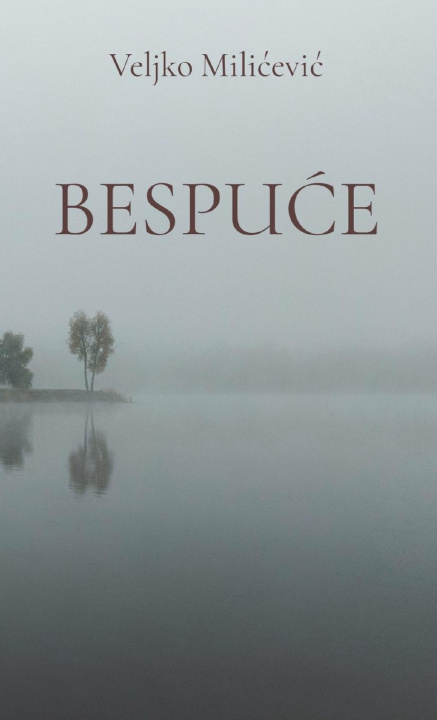 Knjiga Bespuce Veljko Milicevic