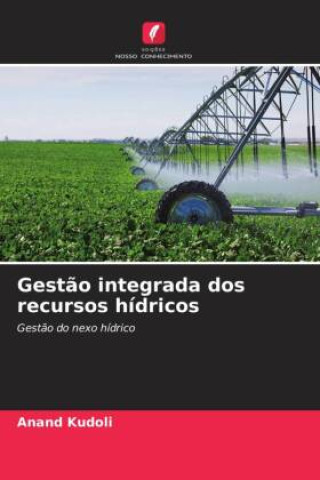 Βιβλίο Gest?o integrada dos recursos hídricos Anand Kudoli