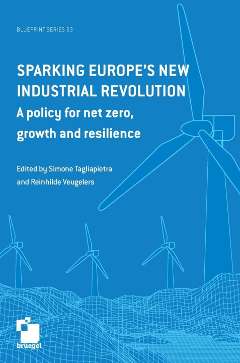 Kniha Sparking Europe's new industrial revolution Reinhilde Veugelers