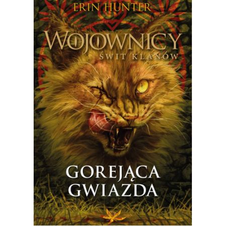 Książka Gorejąca gwiazda 