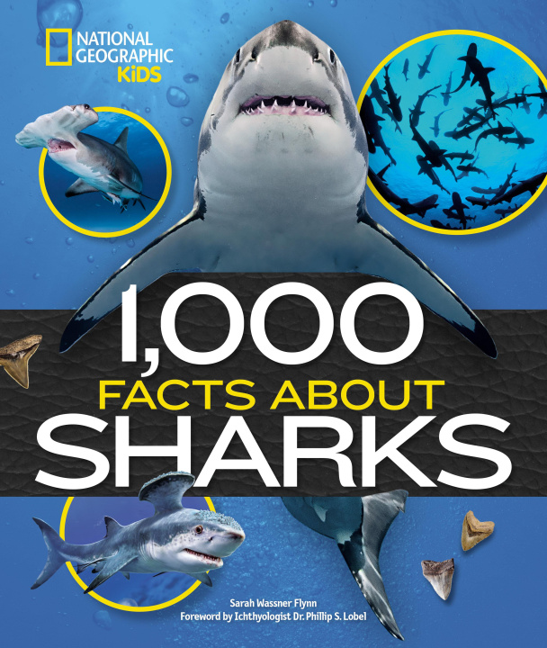 Könyv 1000 FACTS ABOUT SHARKS FLYNN SARAH WASSNER