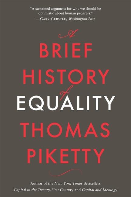 Kniha A Brief History of Equality Steven Rendall