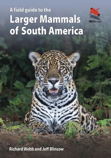 Книга A Field Guide to the Larger Mammals of South America Jeff Blincow