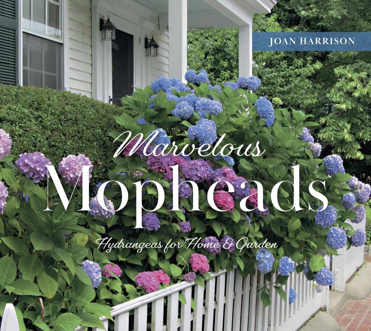 Kniha Marvelous Mopheads: Hydrangeas for Home & Garden 
