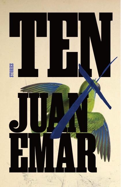 Książka Ten Megan Mcdowell