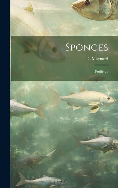 Книга Sponges; Poriferae 