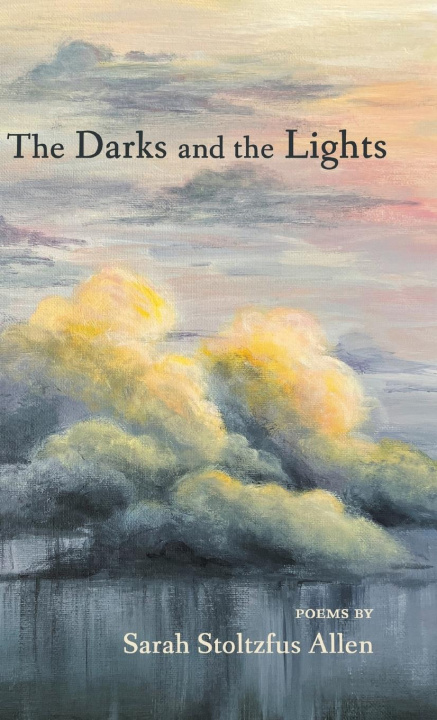 Knjiga The Darks and the Lights Sarah Stoltzfus Allen