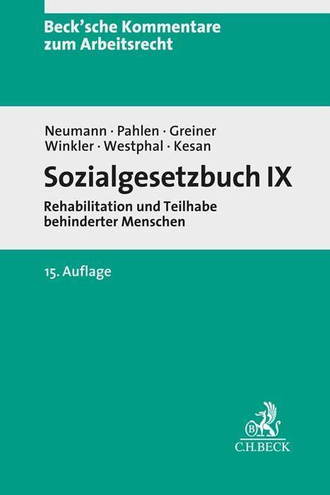Kniha Sozialgesetzbuch IX Ronald Pahlen
