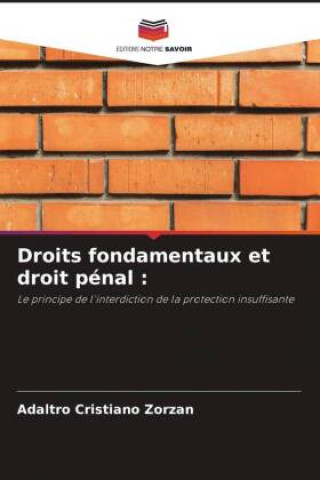 Kniha Droits fondamentaux et droit pénal : 