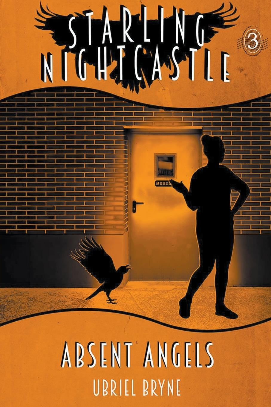 Kniha Absent Angels Amy Norton
