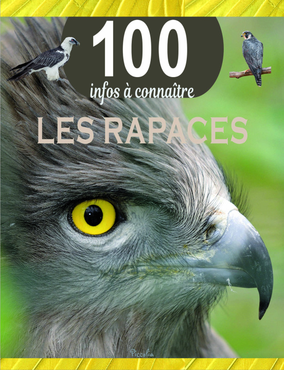 Knjiga Les rapaces 