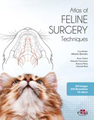 Kniha Atlas of feline surgery techniques Alberto Barneto