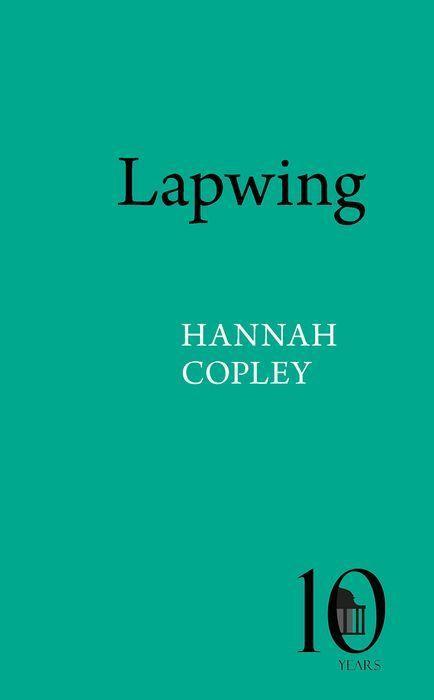 Knjiga Lapwing Hannah Copley