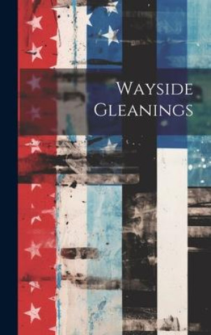 Knjiga Wayside Gleanings Anonymous