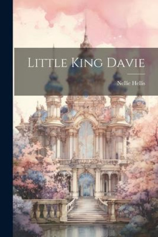 Boek Little King Davie Nellie Hellis