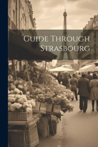 Knjiga Guide Through Strasbourg Anonymous