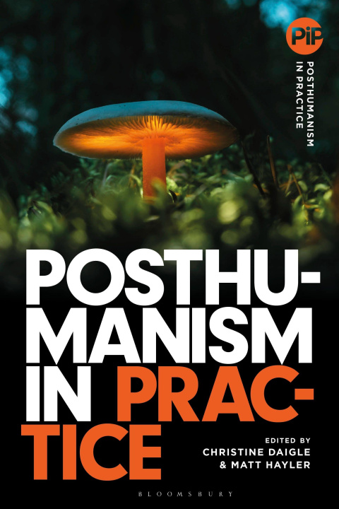 Book Posthumanism in Practice Danielle Sands