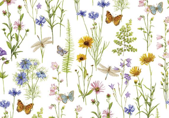 Kniha Wildflower Garden Note Cards 