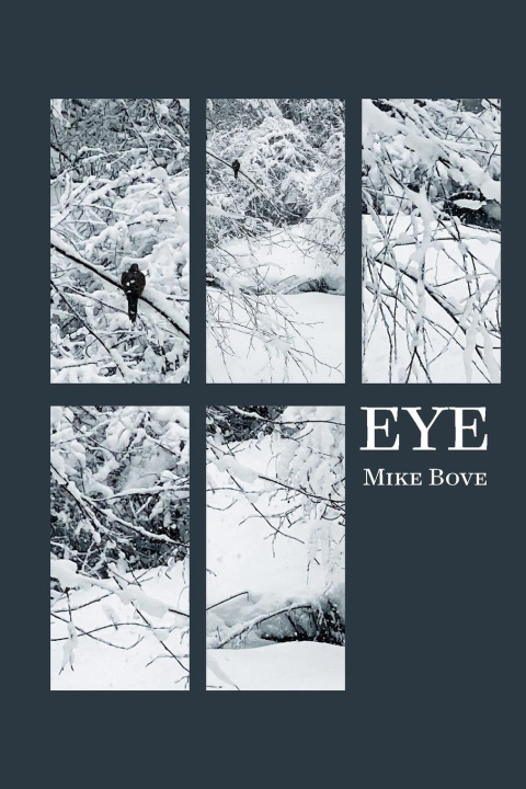 Kniha Eye Mike Bove