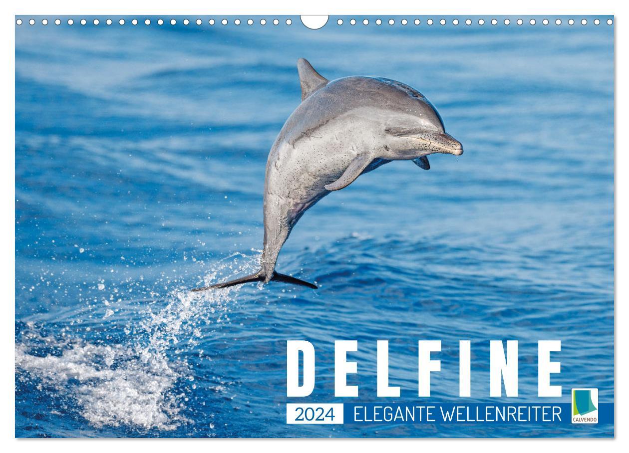 Kalendář/Diář Delfine: Elegante Wellenreiter (Wandkalender 2024 DIN A3 quer), CALVENDO Monatskalender 