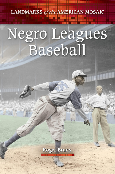 Book Negro Leagues Baseball Roger Bruns